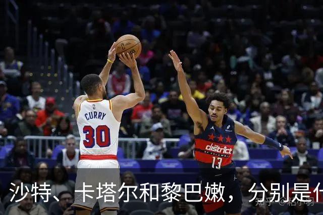 沙特、卡塔尔和黎巴嫩，分别是什么水平？