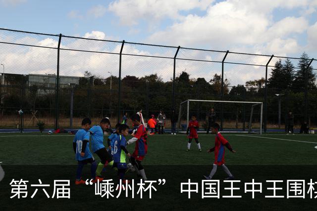第六届“嵊州杯”中国王中王围棋争霸赛开幕