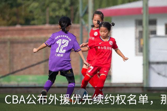 CBA公布外援优先续约权名单，那么除此之外，谁适合被捡漏呢？